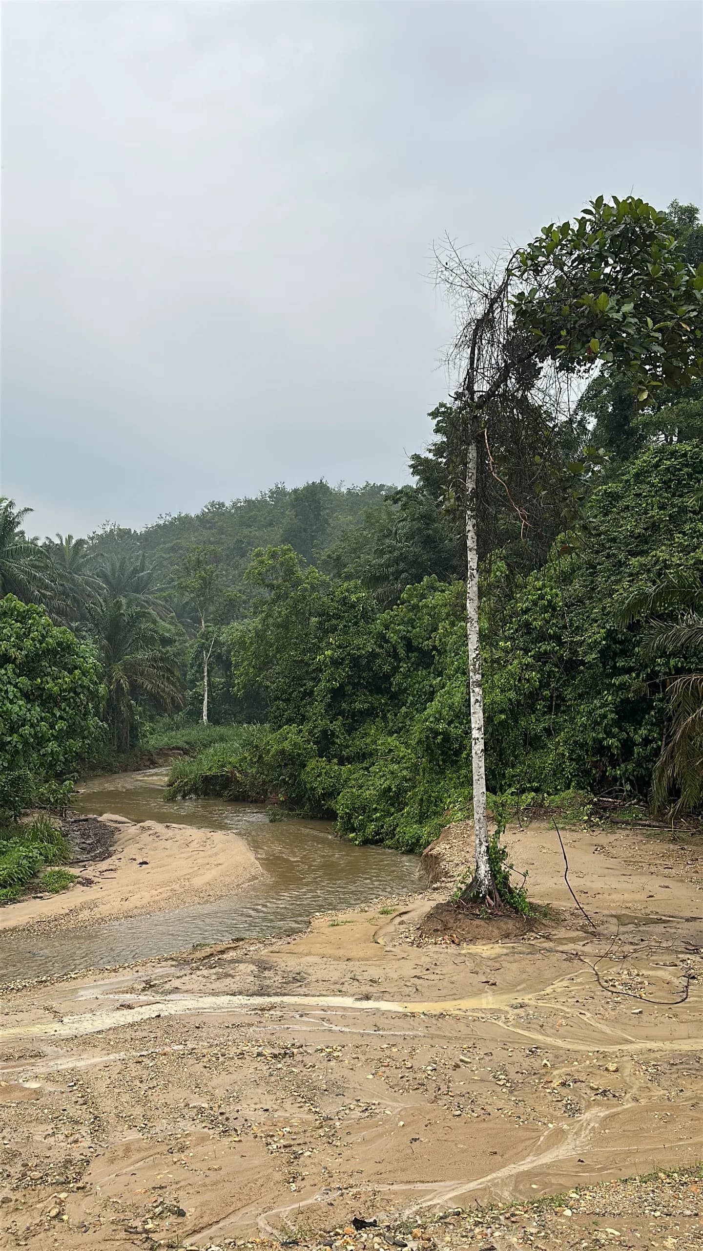 Tanah Sg Tamu, Batang Kali