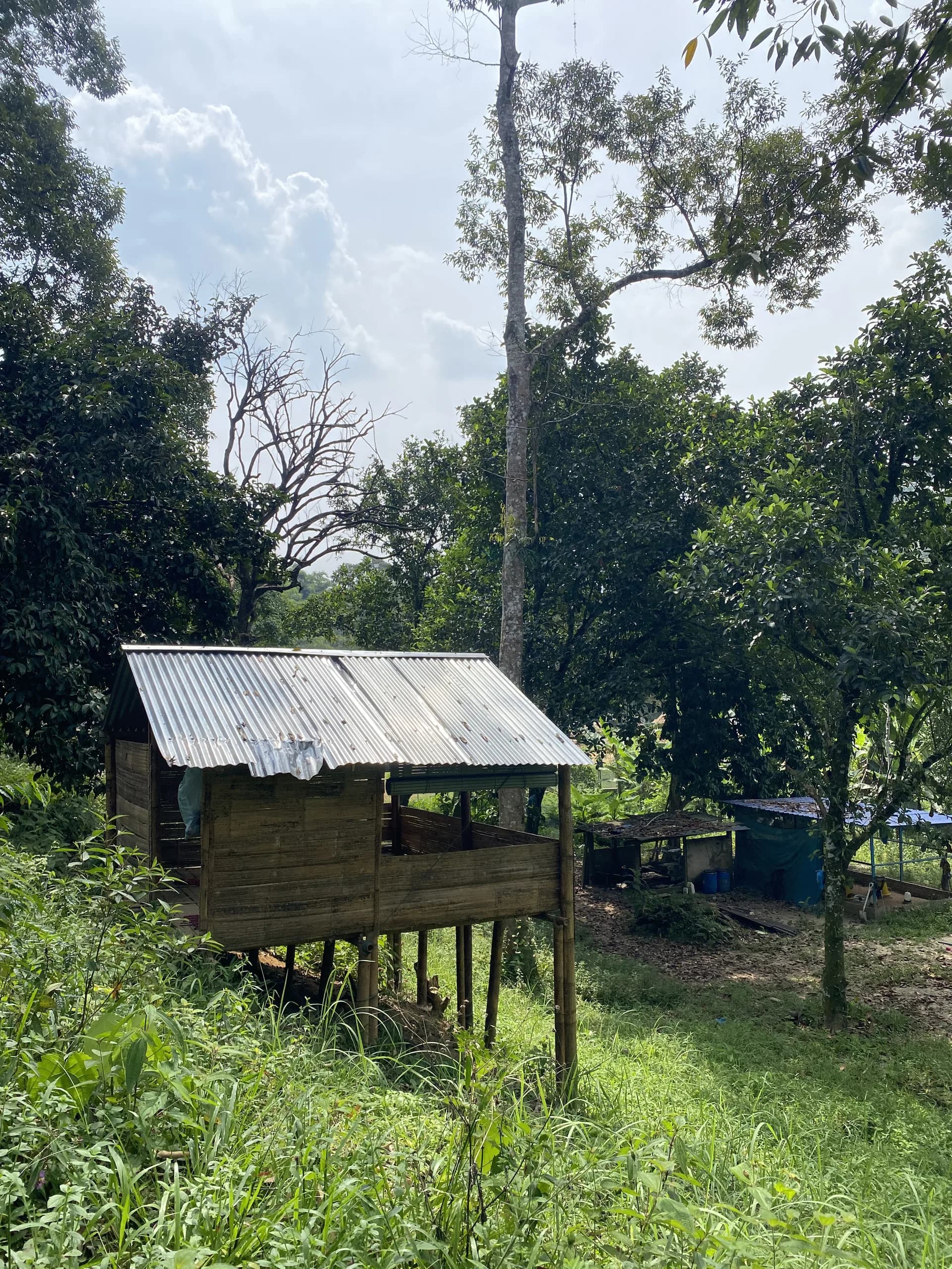 Tanah Di Sg Gabai Hulu Langat