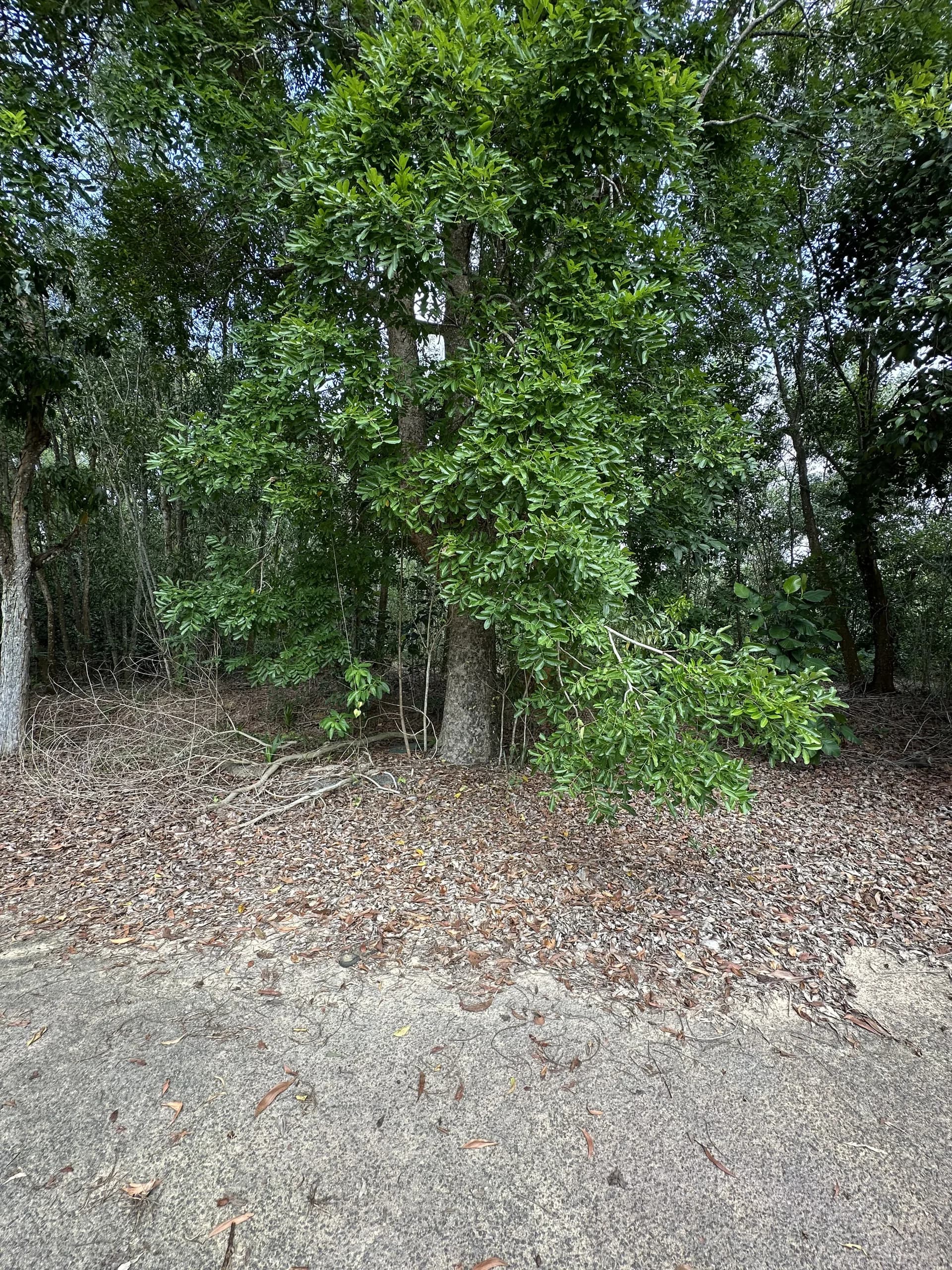Lot Banglo, Tasik Kesuma Beranang