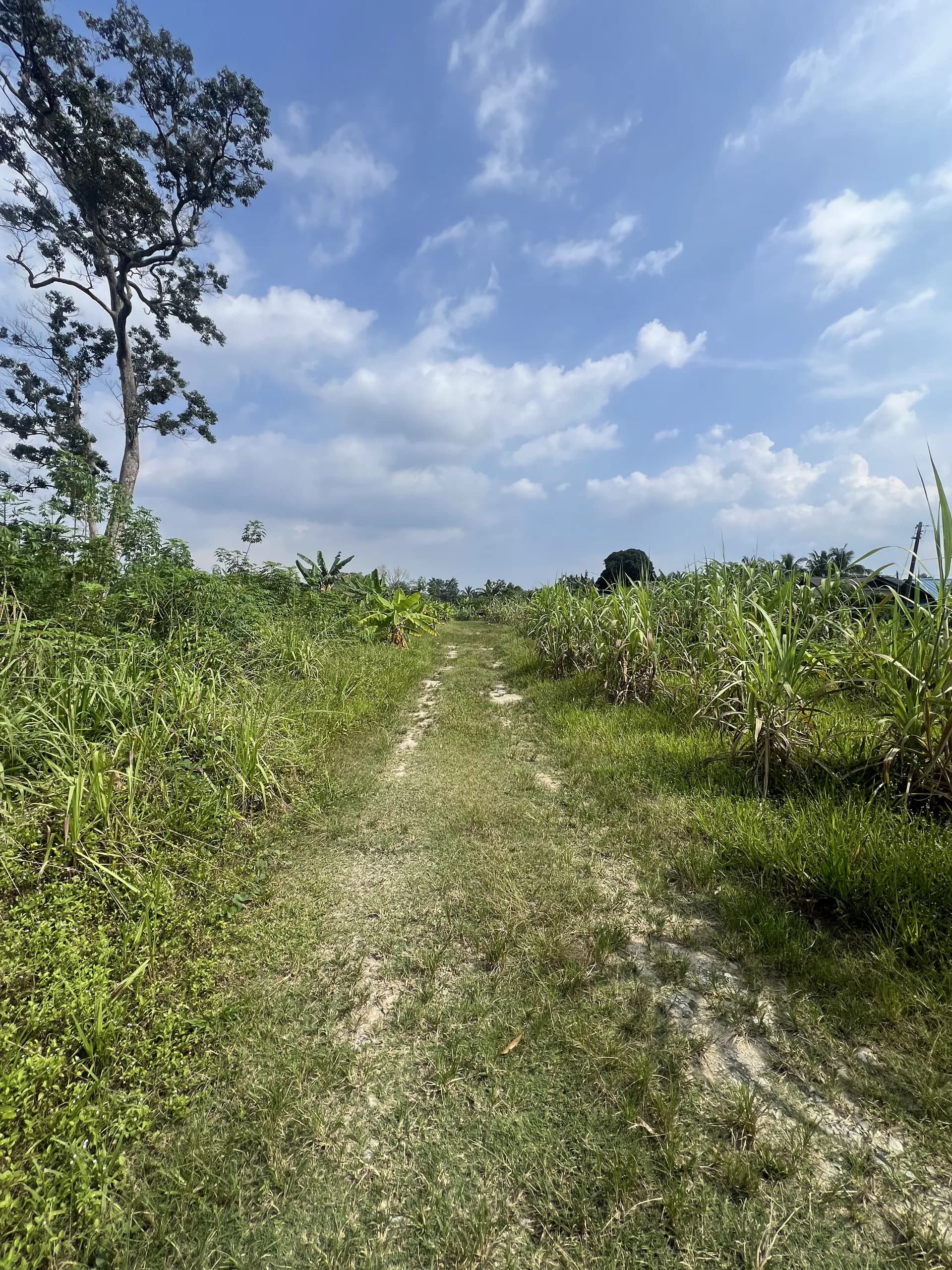 Tanah Mukim Labu