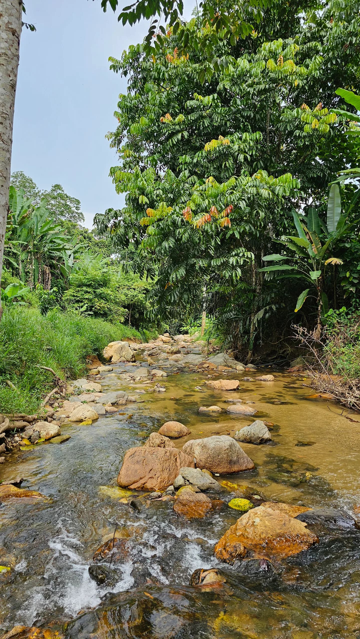 Tanah Sungai Lenggong