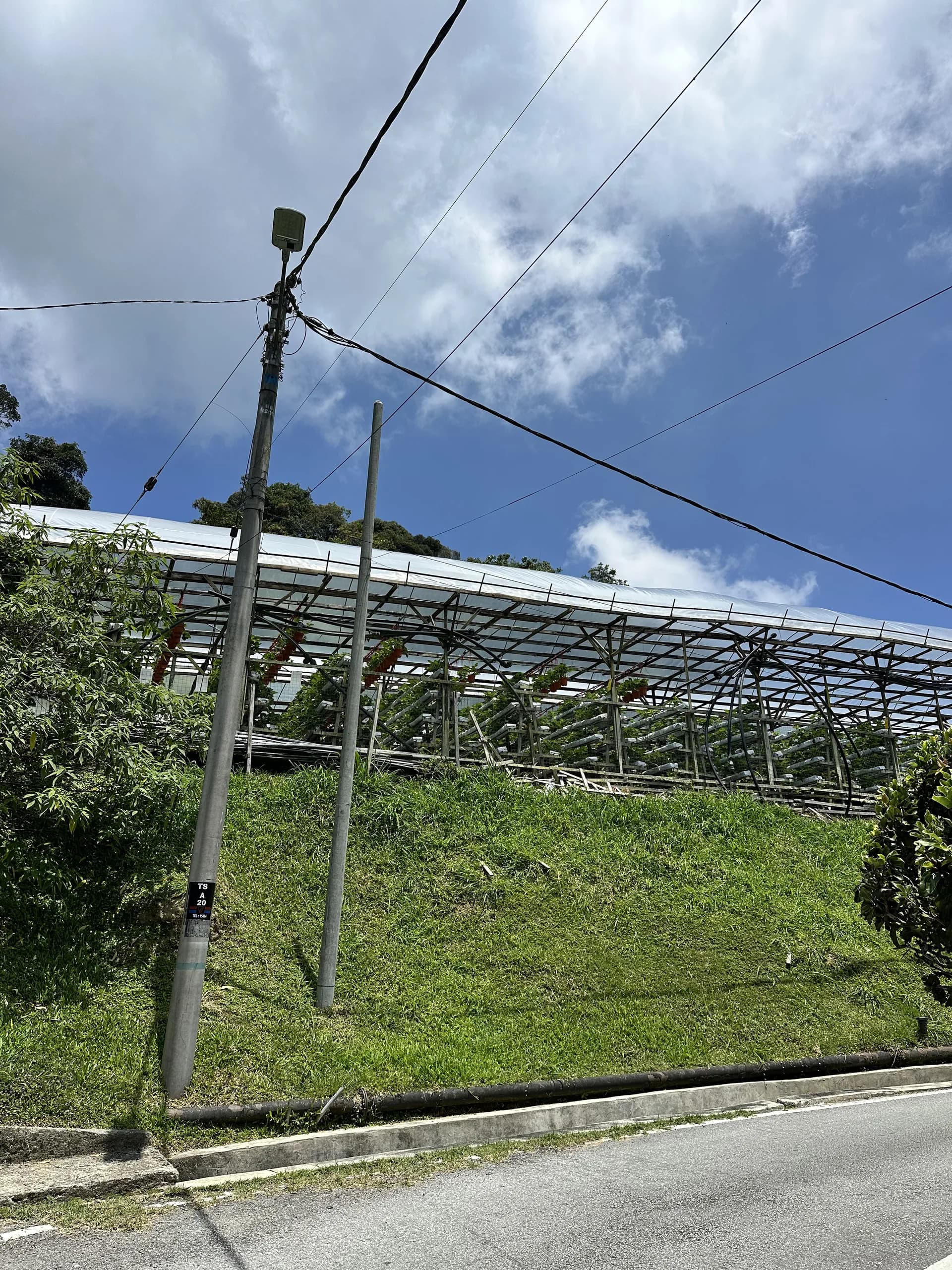 Lot Banglo Kg Taman Sedia, Tanah Rata Cameron Highland