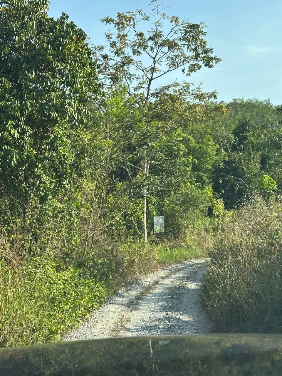 Tanah Tepi Sungai, Lawin Perak