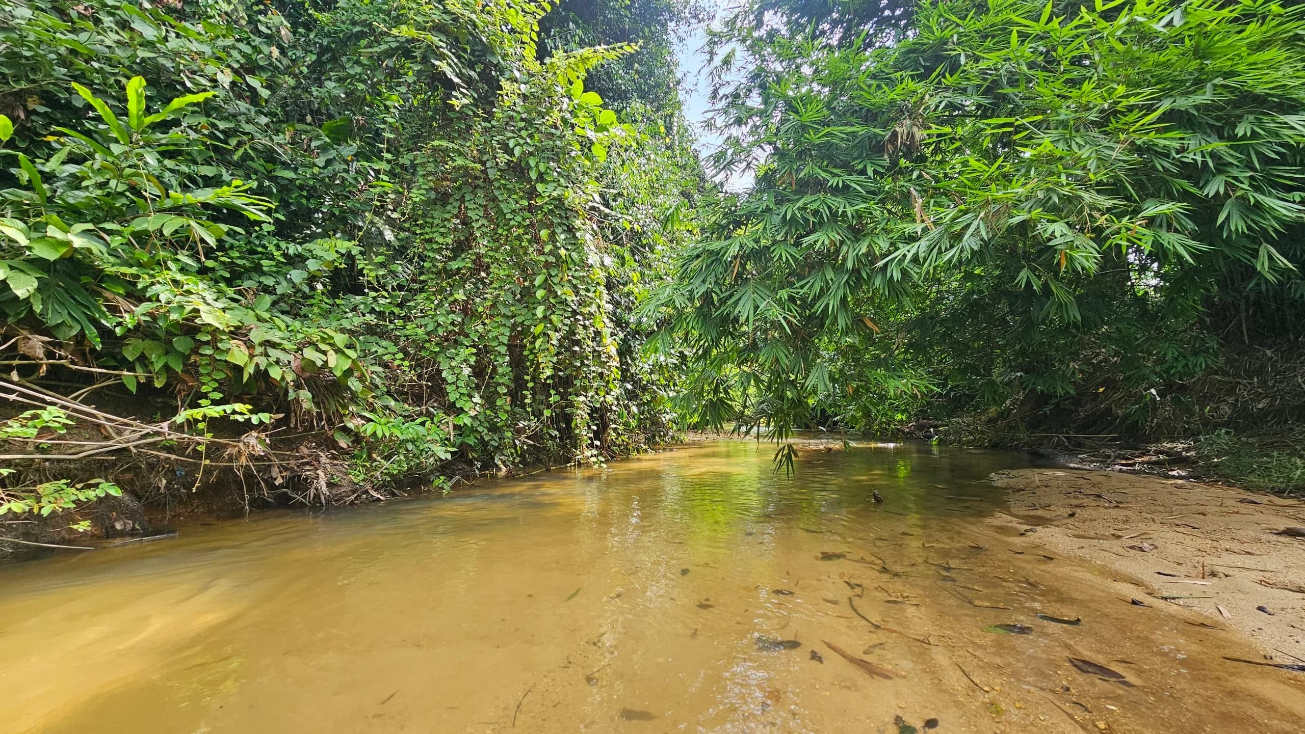 Sungai Mengkuang,Selama (ada sungai)