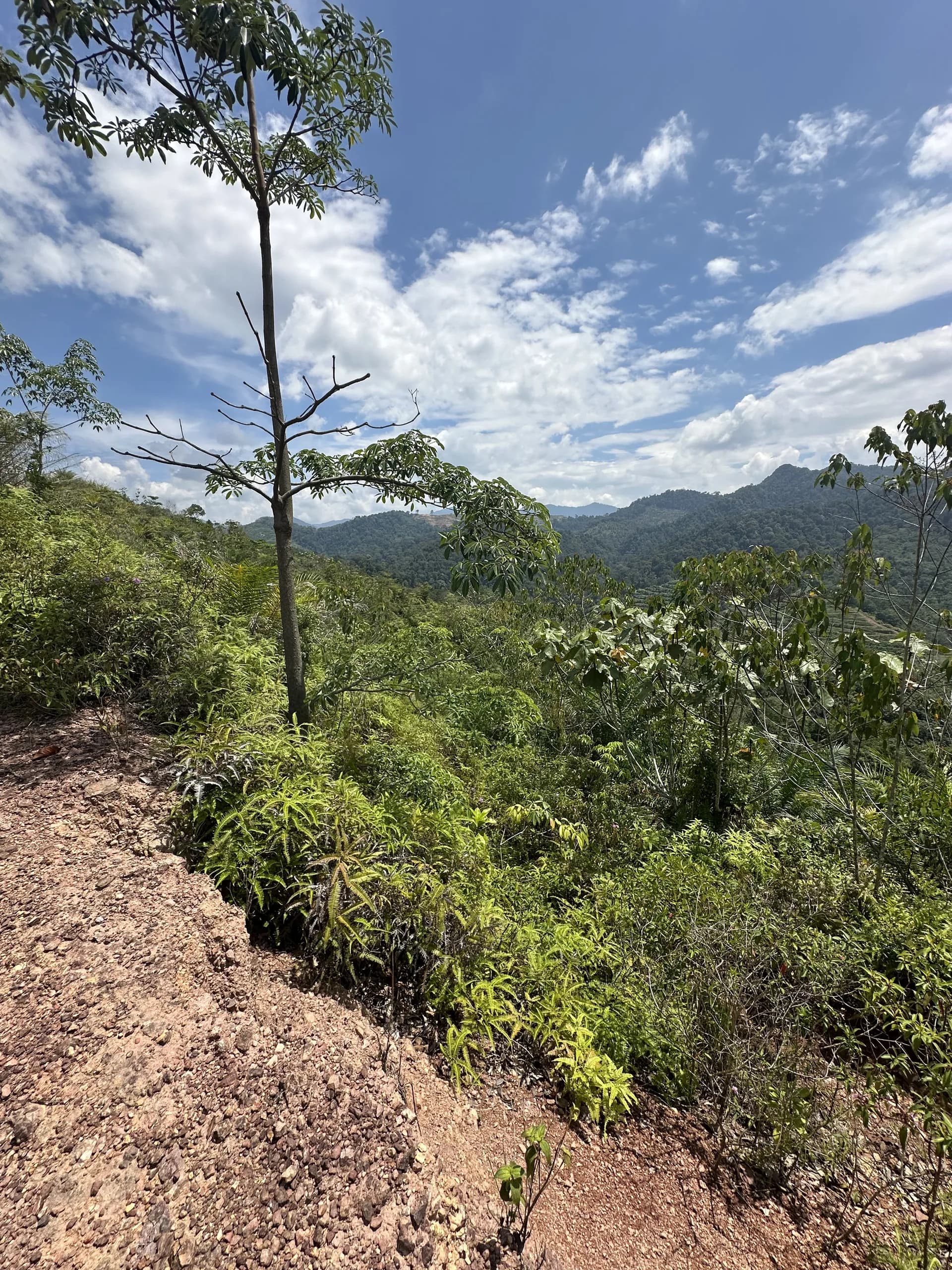 Tanah Raub Pahang