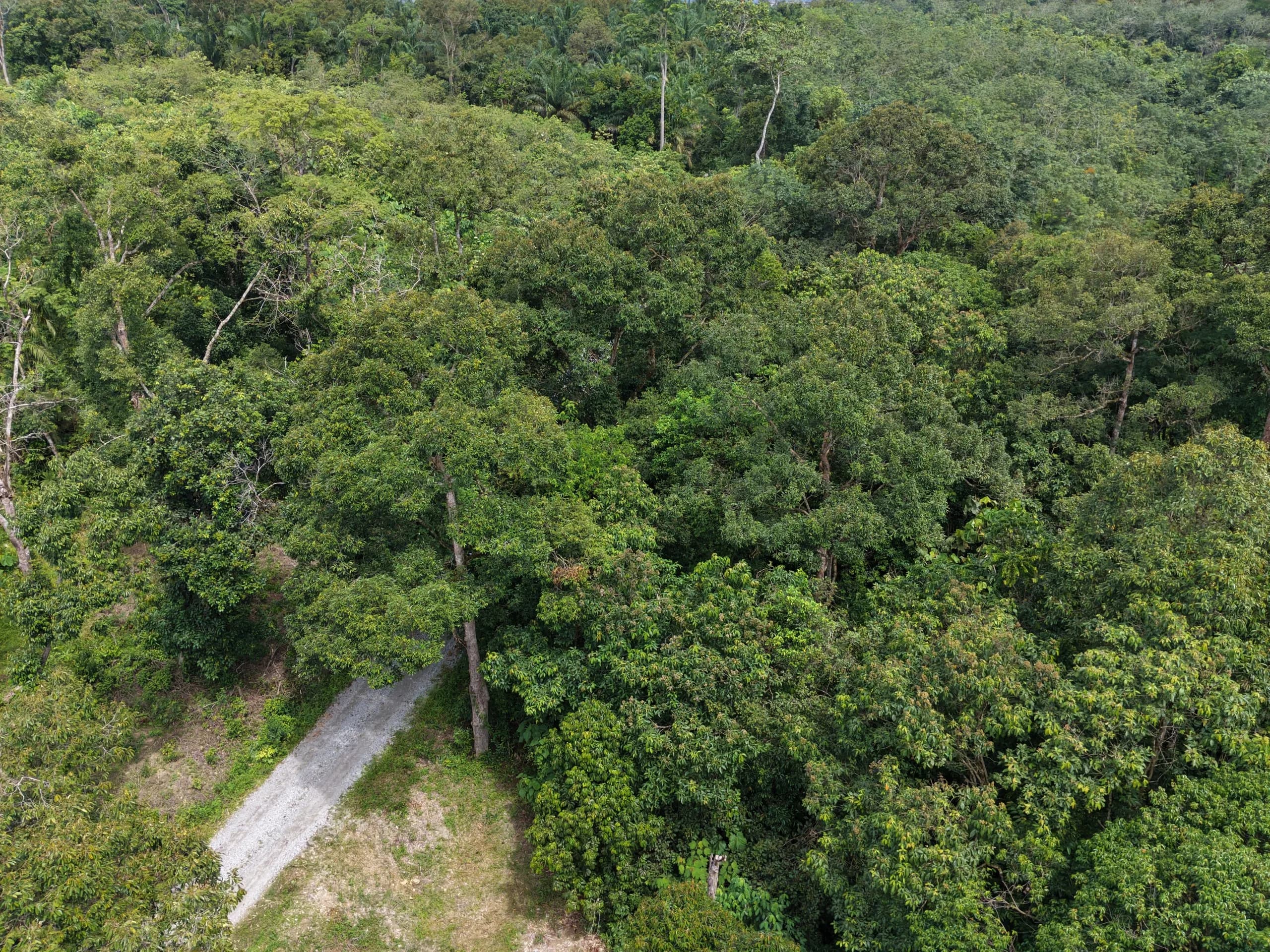 Tanah Kg Sempa Teruh, Bentong