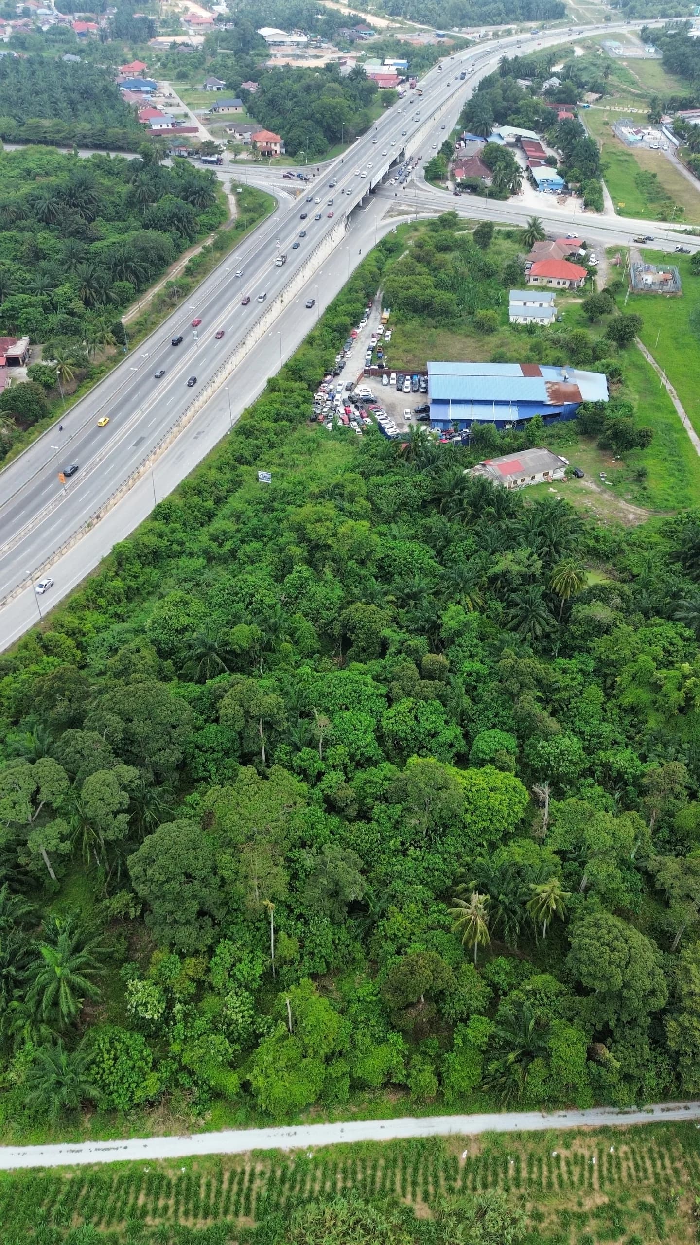 Ampar Tenang, Dengkil