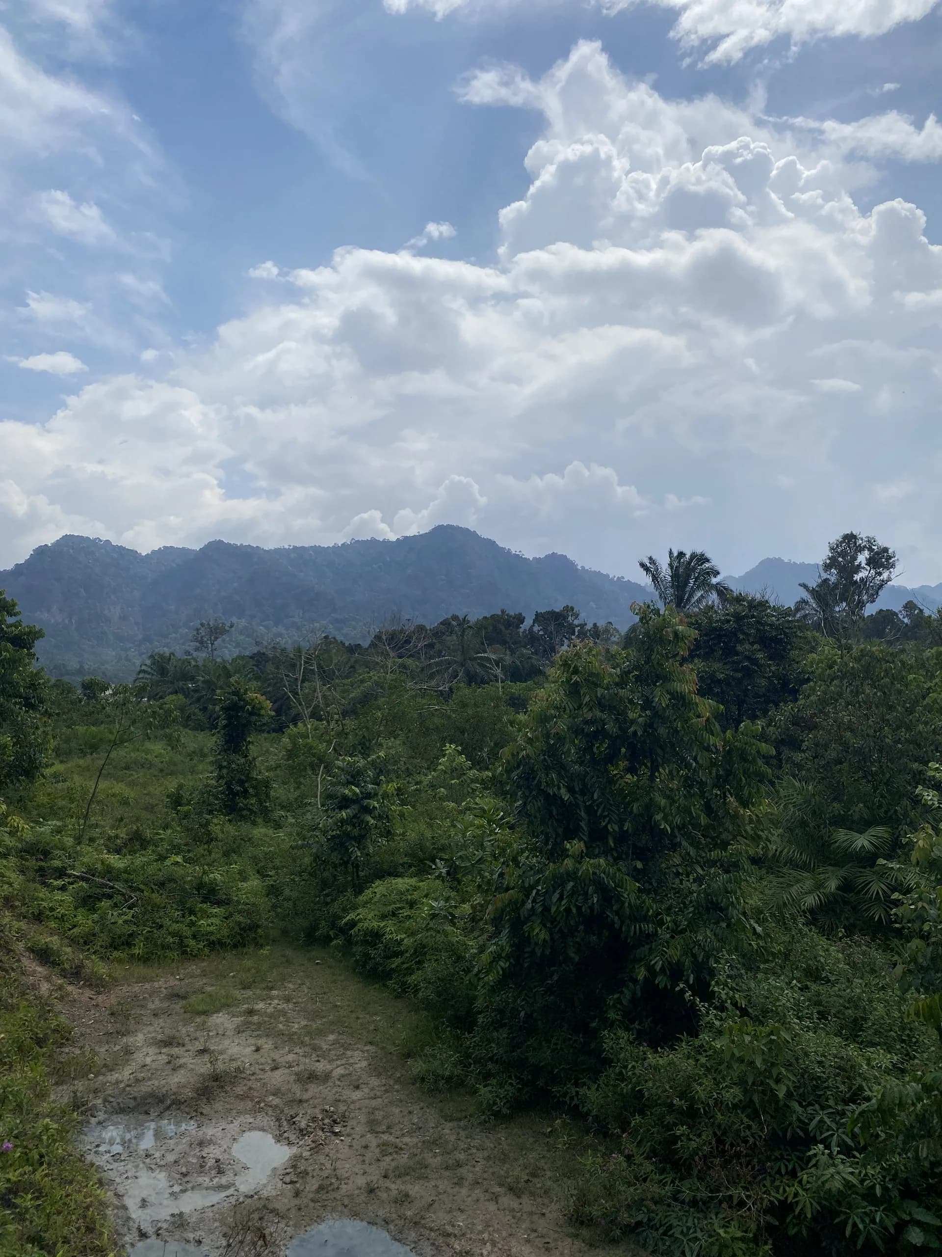 Tanah Kg Telebong (ada sungai)