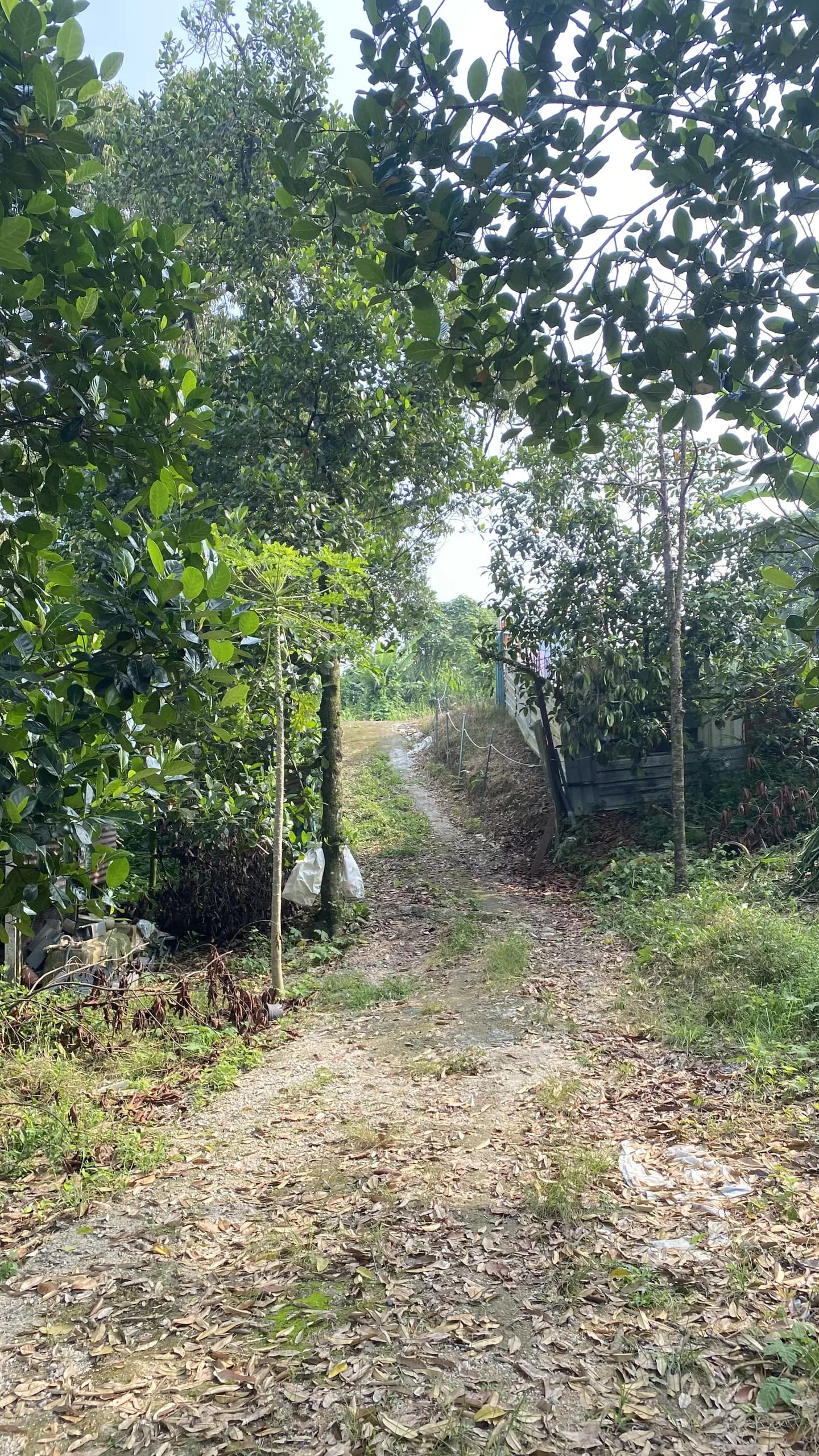 Tanah Pajam, Mantin