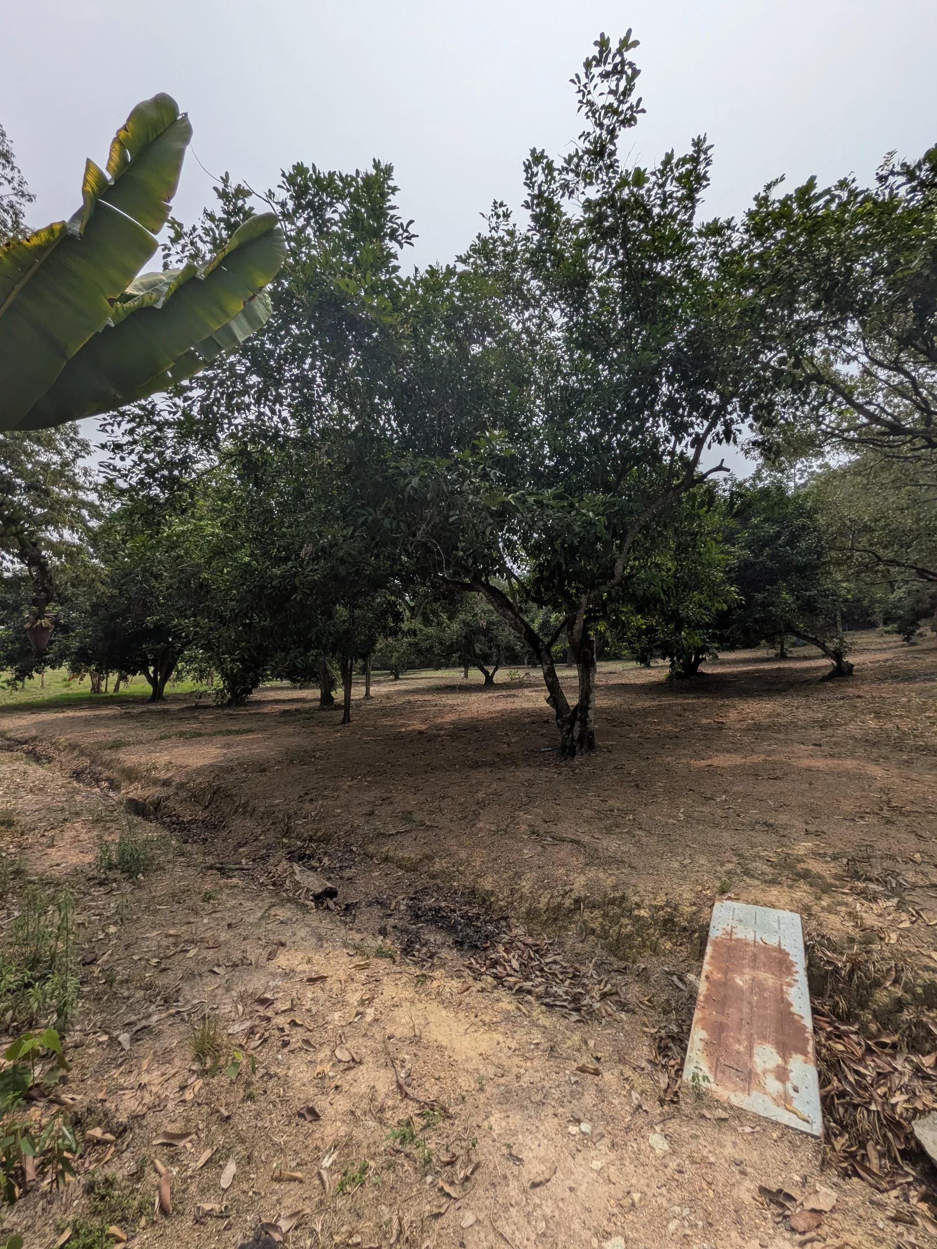 Tanah untuk Pemaju, Meromol Nilai