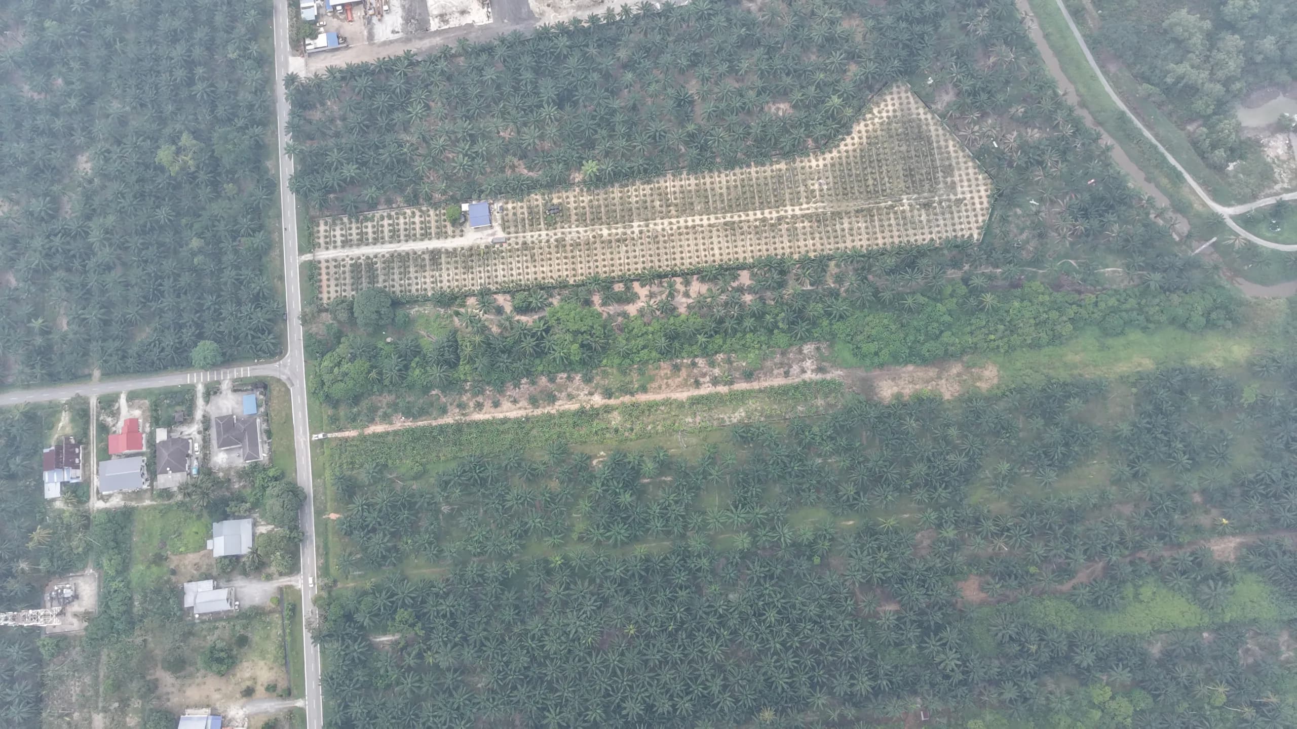 Tanah Tepi Jalan, Sijangkang